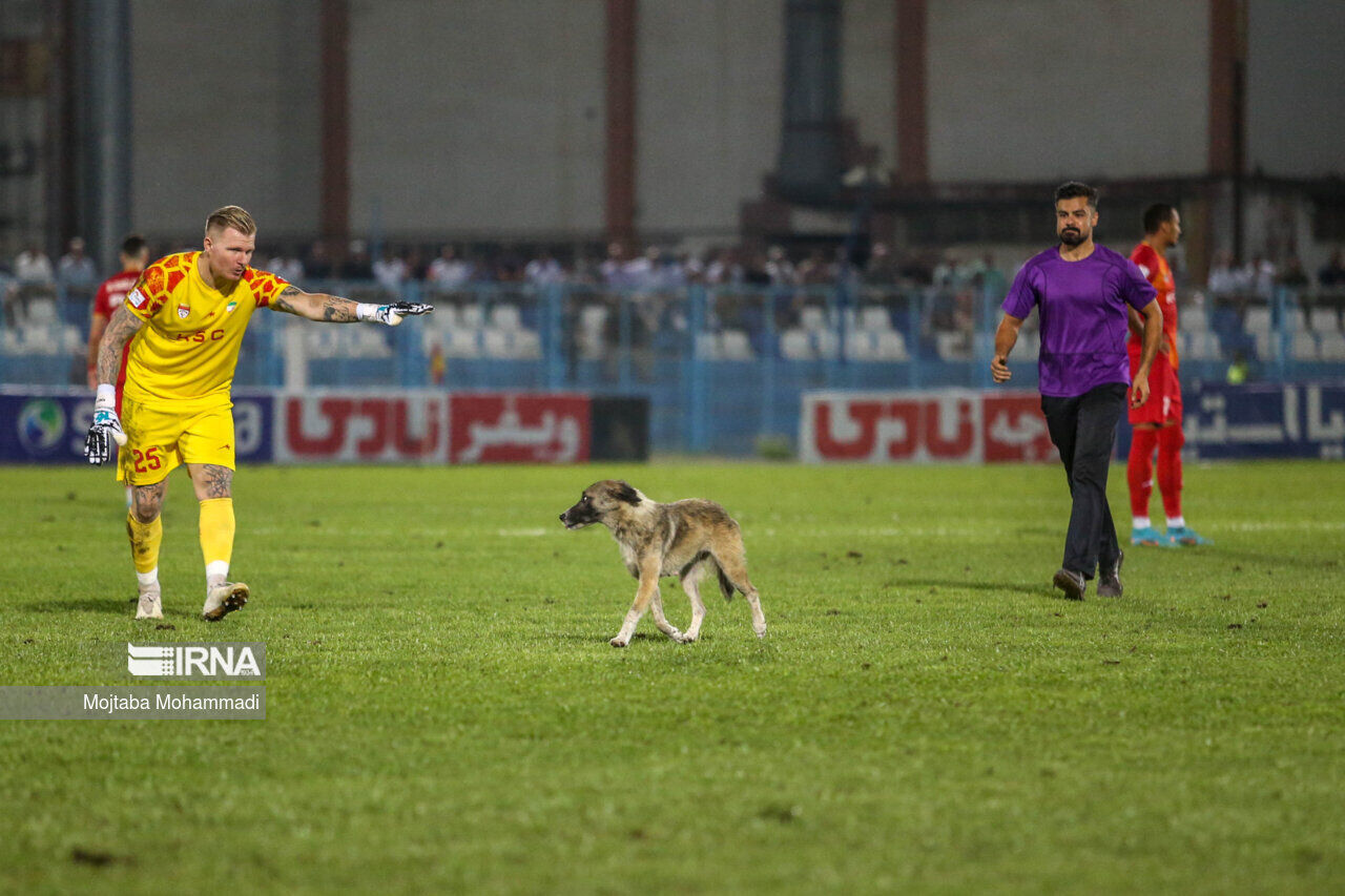 عکس منتخب سال ۱۴۰۲