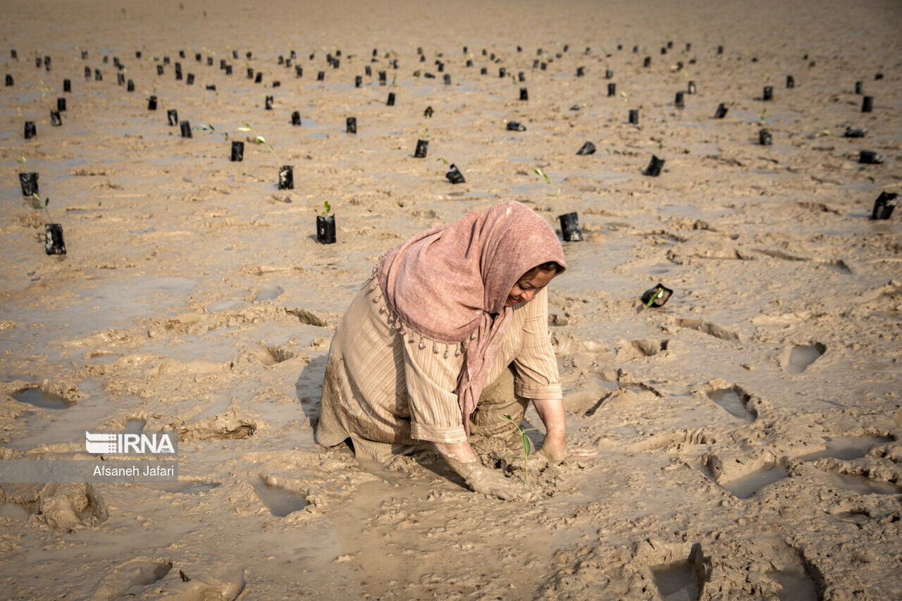 عکس منتخب سال ۱۴۰۲