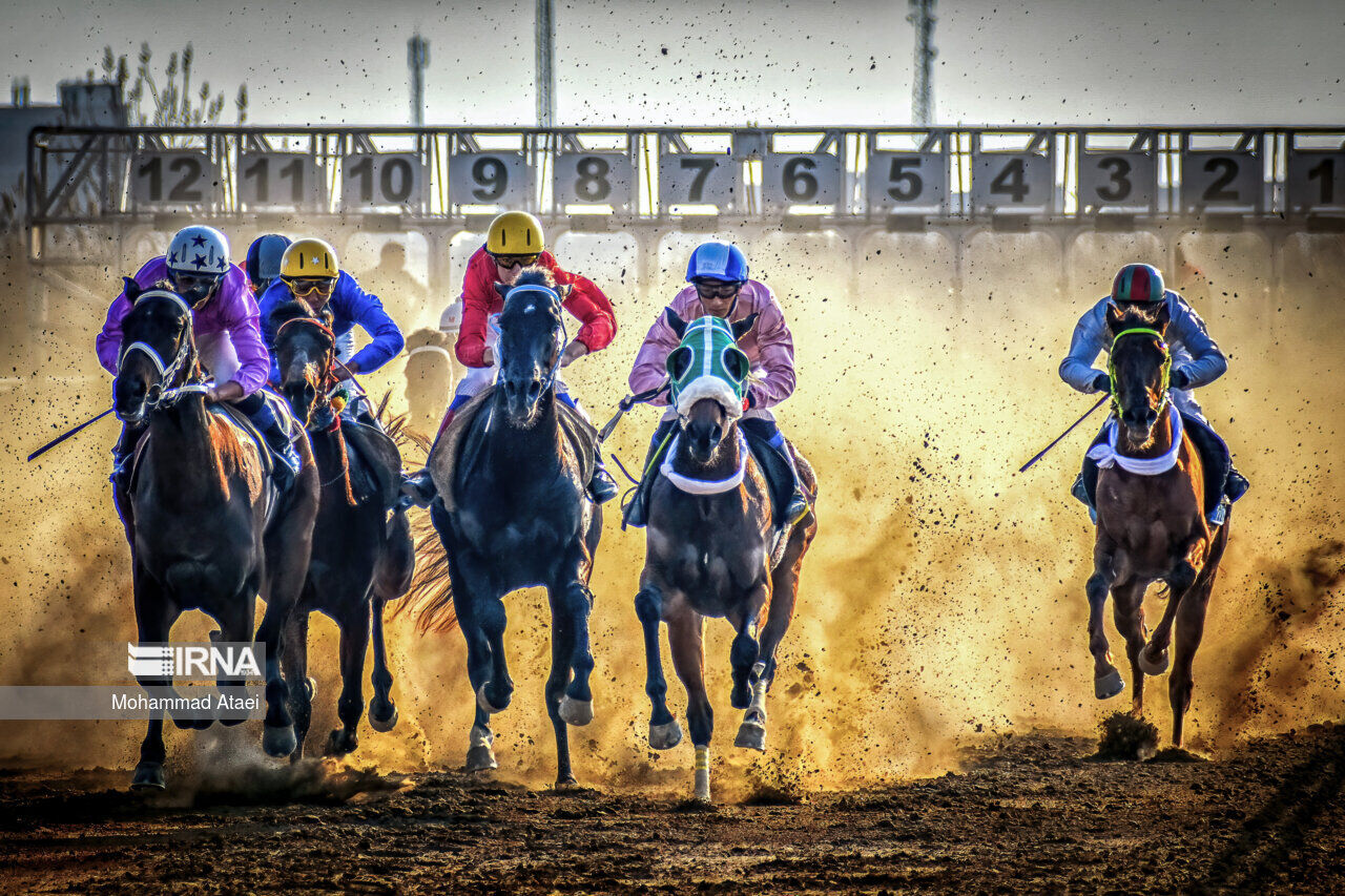 عکس منتخب سال ۱۴۰۲