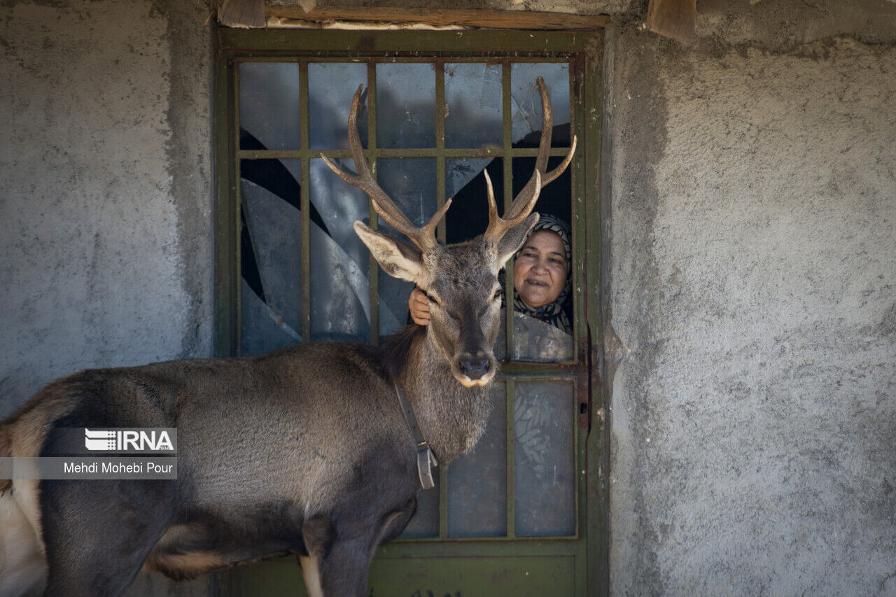 عکس منتخب سال ۱۴۰۲