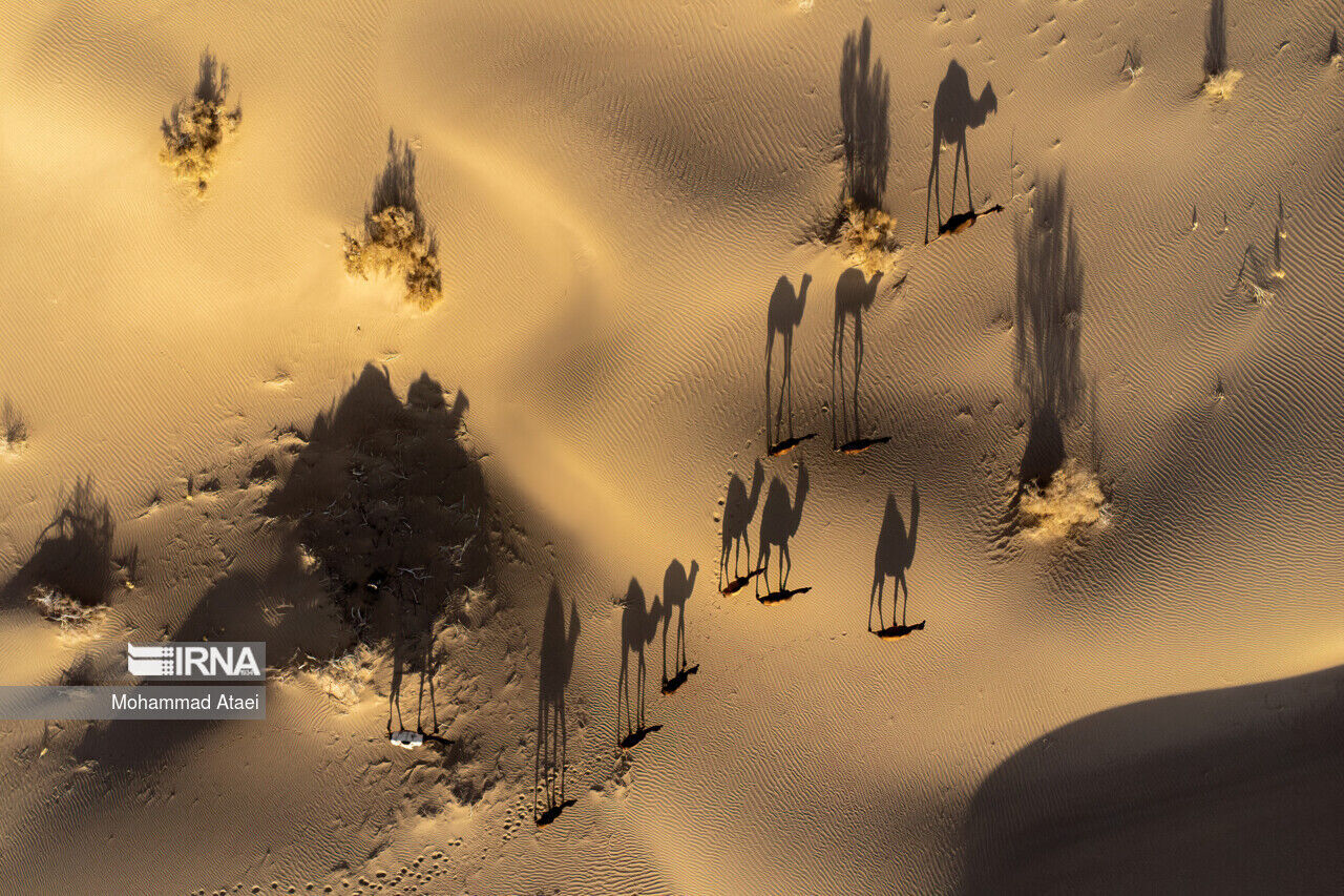 عکس منتخب سال ۱۴۰۲