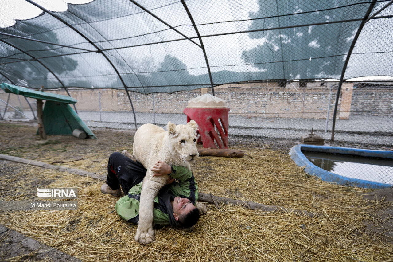 عکس منتخب سال ۱۴۰۲