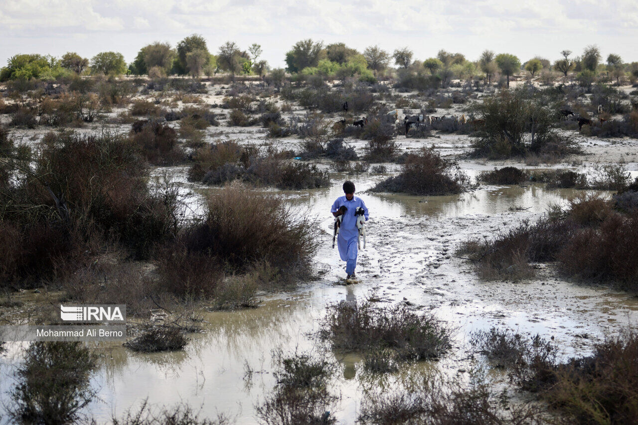 عکس منتخب سال ۱۴۰۲
