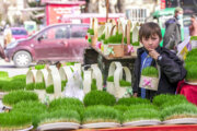 Nowruz in Afghanistan