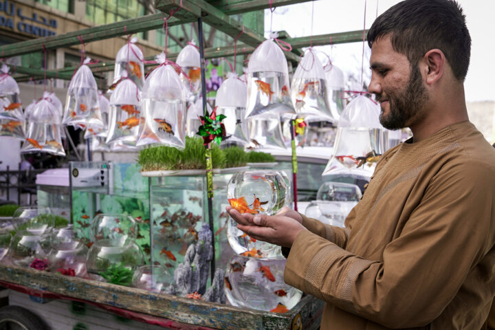 خرید نوروزی در کابل