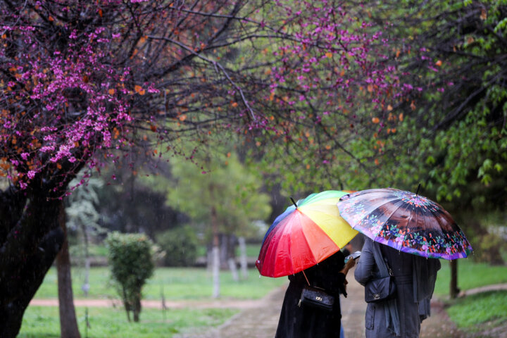 گردشگران نوروز ۱۴۰۳ در باغ ارم