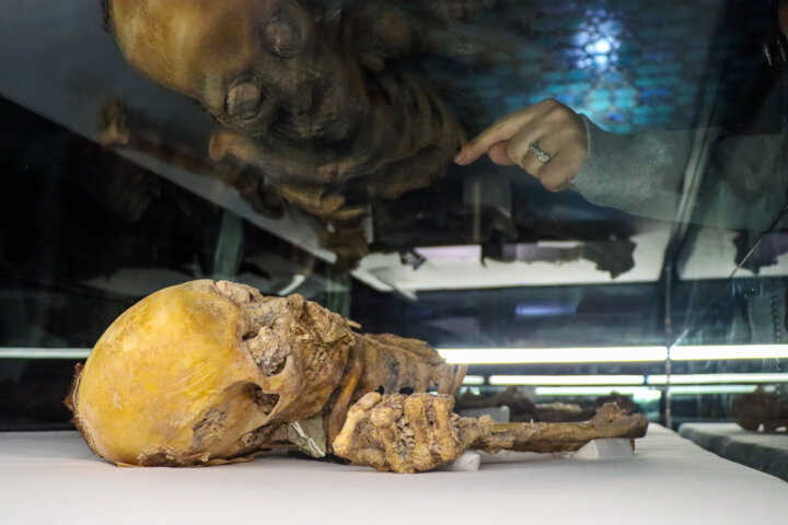 سال استردادهای تاریخی و جهانیشدن کاروانسراها