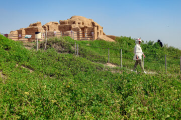 Tourisme en Iran : le château de Salasel à Khuzestân 