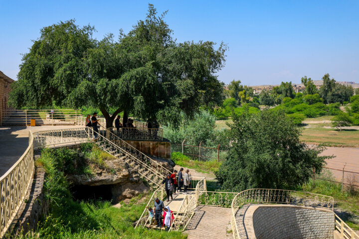 مرمت حافظیه تا کشف شیء قاجاری