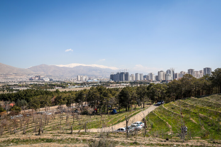آغاز روند احیای درختان پارک جنگلی چیتگر/ صدور سند کاداستر پس از ۶۰ سال