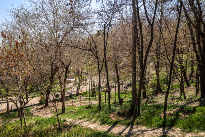پارک های تهران در روز طبیعت- بوستان نهج البلاغه