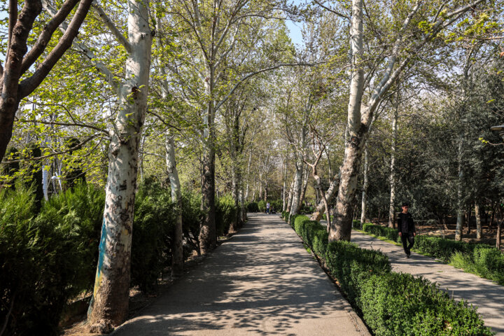 پارک های تهران در روز طبیعت- بوستان ولابت