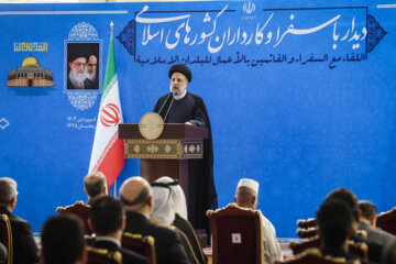 دیدار سفرای کشورهای اسلامی با رئیس جمهور