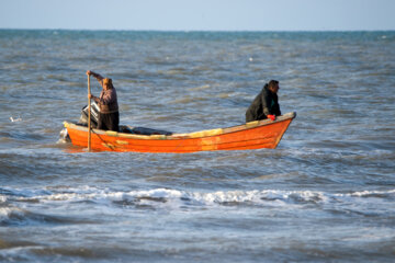 آخرین روز صید ماهی های استخوانی در مازندران