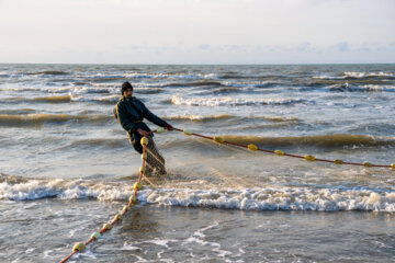 آخرین روز صید ماهی های استخوانی در مازندران