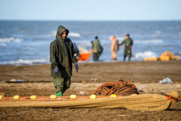 آخرین روز صید ماهی های استخوانی در مازندران