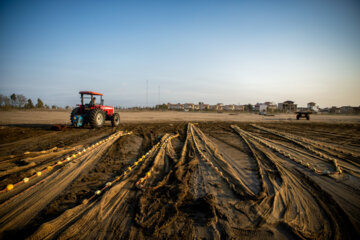 آخرین روز صید ماهی های استخوانی در مازندران