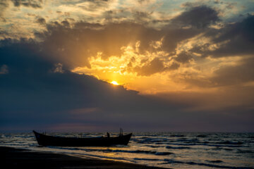 آخرین روز صید ماهی های استخوانی در مازندران