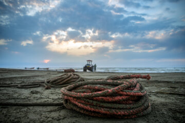 آخرین روز صید ماهی های استخوانی در مازندران