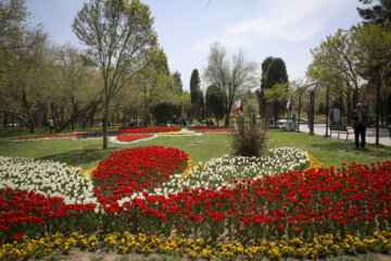 Festival of tulips in Iran’s Mashhad
