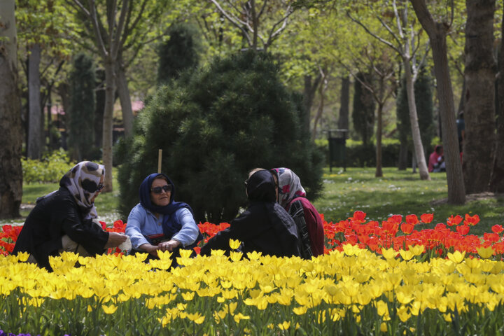 جشنواره گل های لاله در پارک ملت مشهد