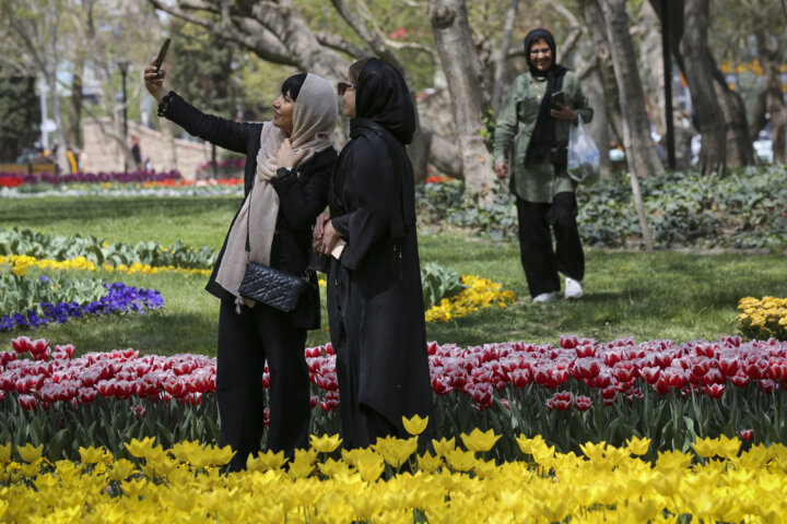 جشنواره گل های لاله در پارک ملت مشهد