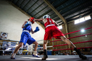 Iran, Russia boxing teams meet in friendly match