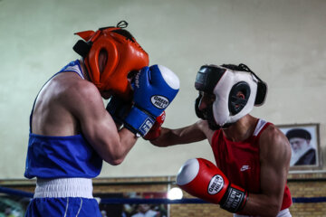 Iran, Russia boxing teams meet in friendly match