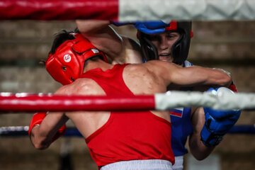 Iran, Russia boxing teams meet in friendly match