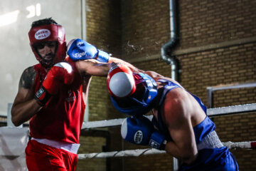 Iran, Russia boxing teams meet in friendly match