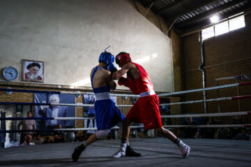 Iran, Russia boxing teams meet in friendly match