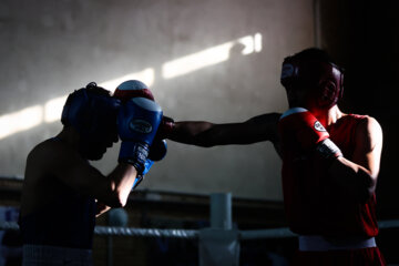 Iran, Russia boxing teams meet in friendly match