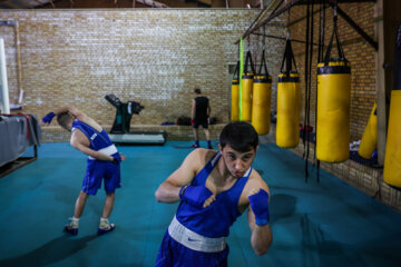 Iran, Russia boxing teams meet in friendly match