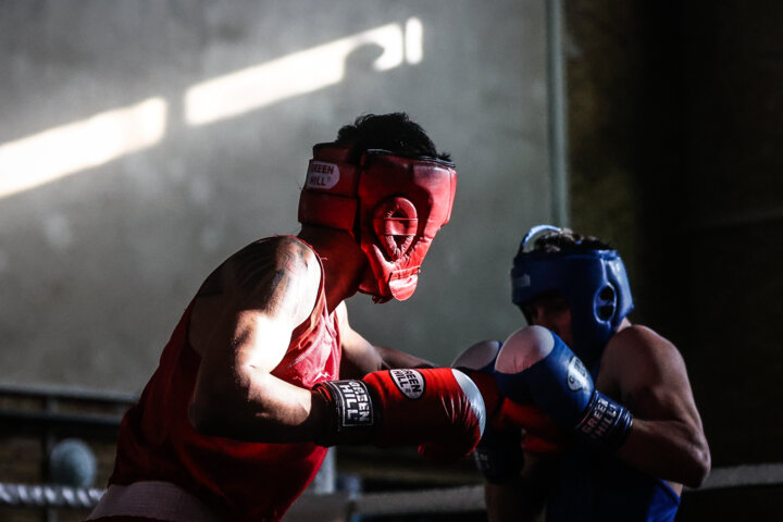 Iran Boxing Iran boxing beats Russia in seven friendlies - IRNA English