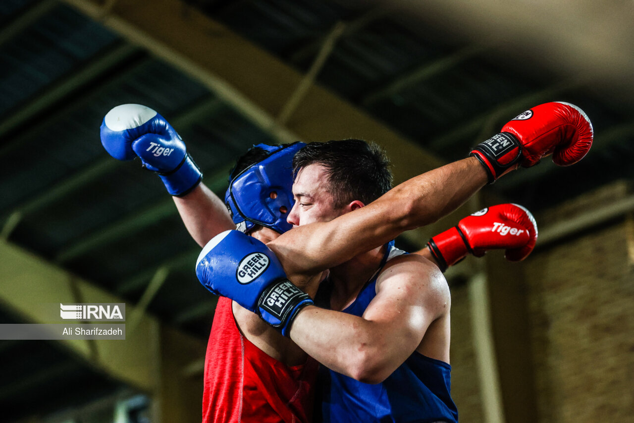 Iran Boxing Iran boxing beats Russia in seven friendlies - IRNA English