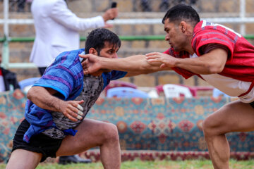 Chokheh traditional wrestling matches held in Zainal Khan arena