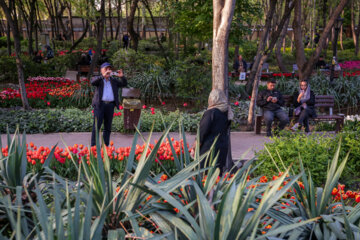 Les tulipes du jardin Irani de Téhéran sacrent le printemps