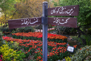 Coloridos tulipanes en el “Jardín Iraní”