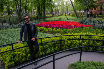 Les tulipes du jardin Irani de Téhéran sacrent le printemps