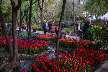 Les tulipes du jardin Irani de Téhéran sacrent le printemps