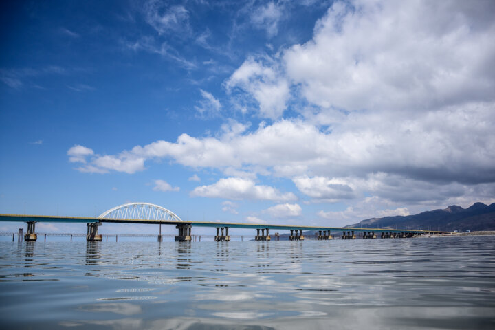 نوسازی لولههای انتقال نفت برای حفظ زیست دریایی ضروری است
