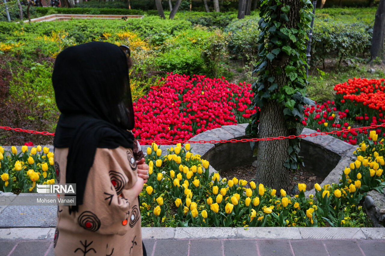 جشنواره لالههای باغ ایرانی