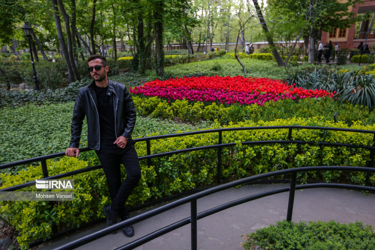 جشنواره لالههای باغ ایرانی