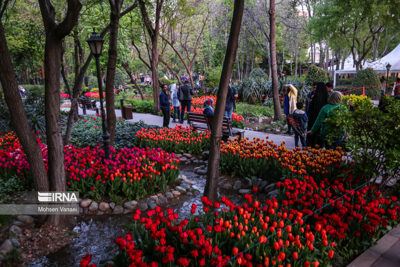 جشنواره لالههای باغ ایرانی