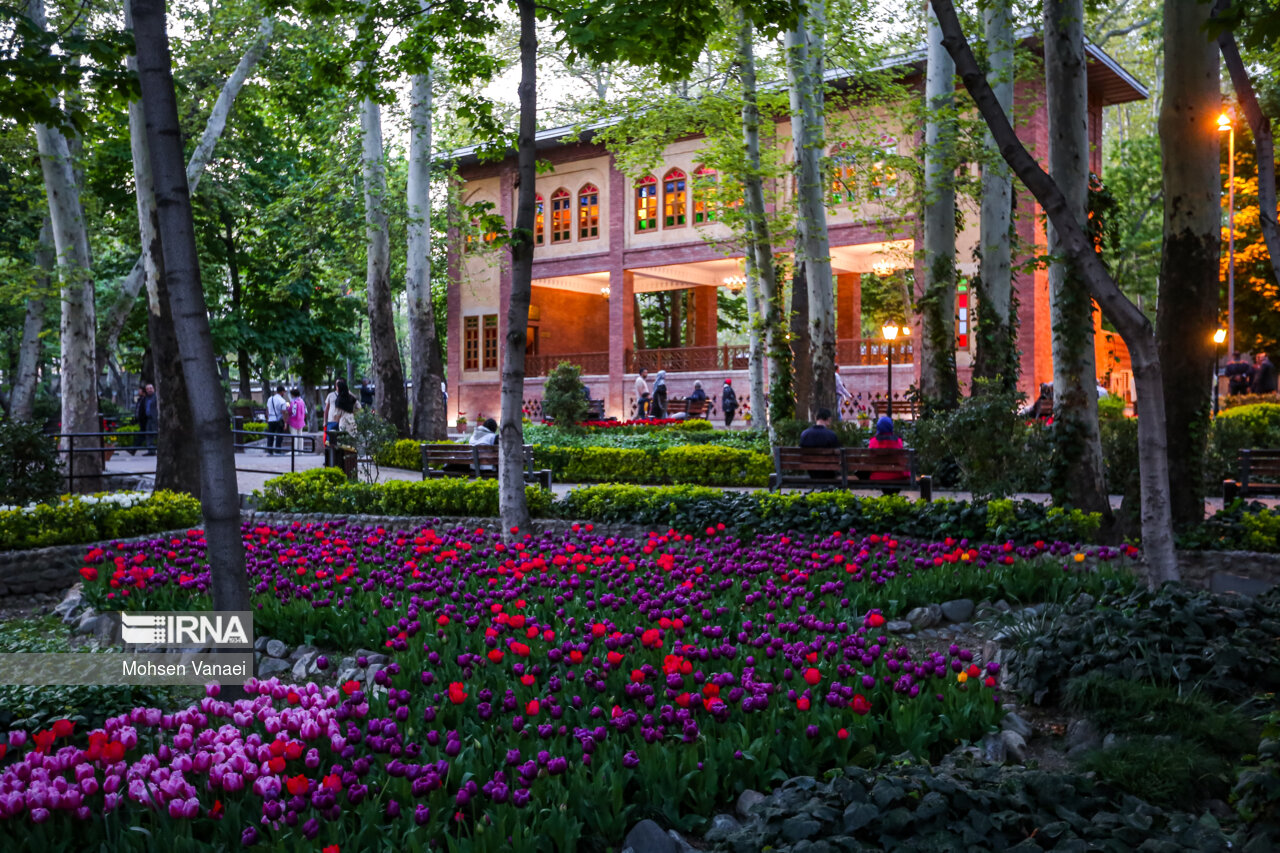 جشنواره لالههای باغ ایرانی