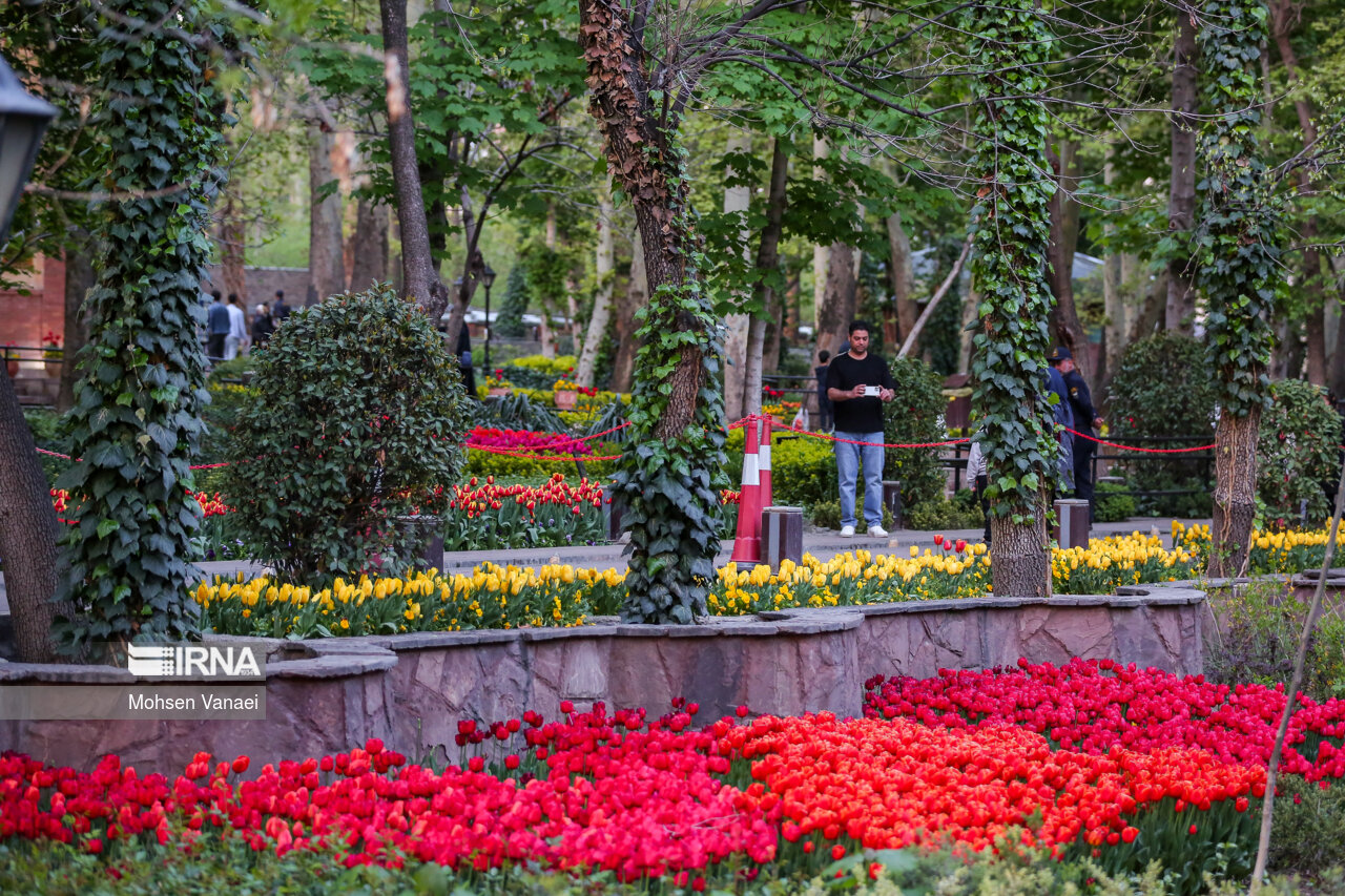 جشنواره لالههای باغ ایرانی