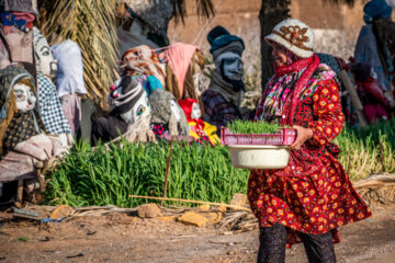مزرعه عروسک ها