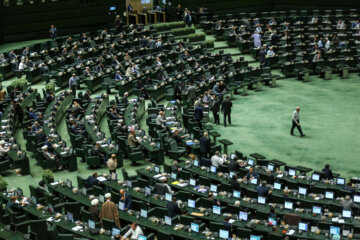 سید نظام موسوی: مجلس باید «نماینده محورتر» شود