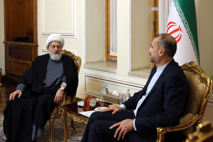 دیدار نایب رییس مجلس اعلای شیعیان لبنان با وزیر امور خارجه