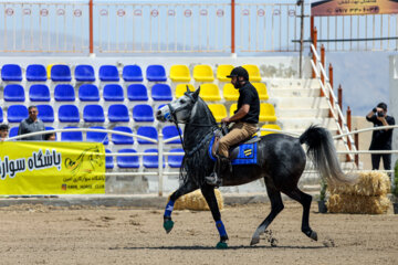 نخستین جشنواره ملی زیبایی‌های اسب «دره شوری»